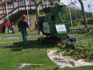 JARDINERIA (55)  CAMPO ESPAMICA